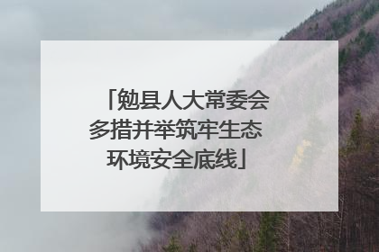 勉县人大常委会多措并举筑牢生态环境安全底线