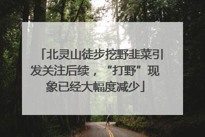 北灵山徒步挖野韭菜引发关注后续，“打野”现象已经大幅度减少