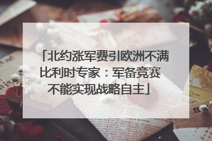 北约涨军费引欧洲不满 比利时专家：军备竞赛不能实现战略自主