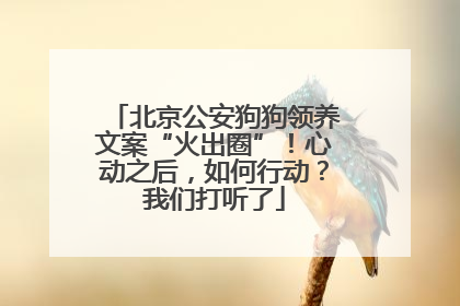 北京公安狗狗领养文案“火出圈”！心动之后，如何行动？我们打听了