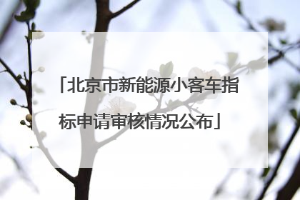 北京市新能源小客车指标申请审核情况公布