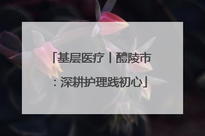 基层医疗丨醴陵市：深耕护理践初心