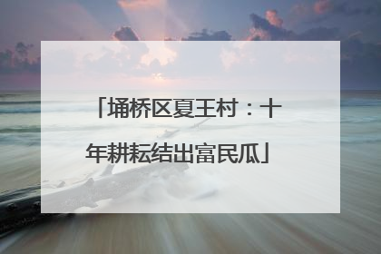 埇桥区夏王村：十年耕耘结出富民瓜
