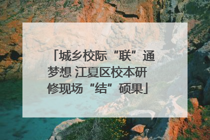 城乡校际“联”通梦想 江夏区校本研修现场“结”硕果
