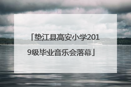 垫江县高安小学2019级毕业音乐会落幕
