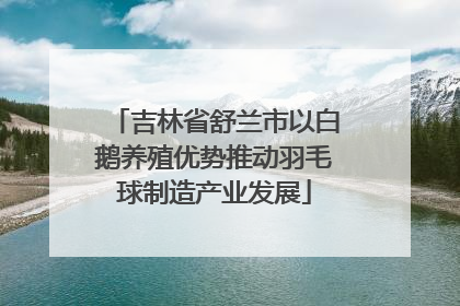 吉林省舒兰市以白鹅养殖优势推动羽毛球制造产业发展