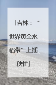 吉林：“世界黄金水稻带”上插秧忙