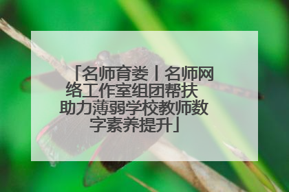 名师育娄丨名师网络工作室组团帮扶 助力薄弱学校教师数字素养提升