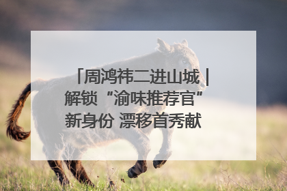 周鸿祎二进山城｜解锁“渝味推荐官”新身份 漂移首秀献给“重庆造”