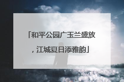 和平公园广玉兰盛放，江城夏日添雅韵