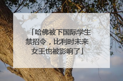哈佛被下国际学生禁招令，比利时未来女王也被影响了