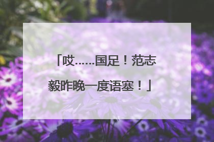 哎……国足！范志毅昨晚一度语塞！