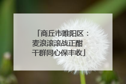 商丘市睢阳区：麦浪滚滚战正酣 干群同心保丰收