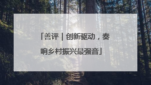 善评｜创新驱动，奏响乡村振兴最强音