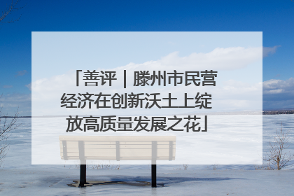 善评｜滕州市民营经济在创新沃土上绽放高质量发展之花