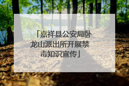 嘉祥县公安局卧龙山派出所开展禁毒知识宣传