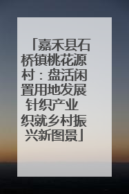 嘉禾县石桥镇桃花源村：盘活闲置用地发展针织产业 织就乡村振兴新图景