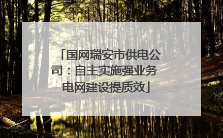 国网瑞安市供电公司：自主实施强业务 电网建设提质效