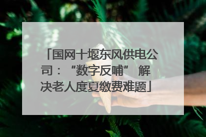 国网十堰东风供电公司：“数字反哺” 解决老人度夏缴费难题