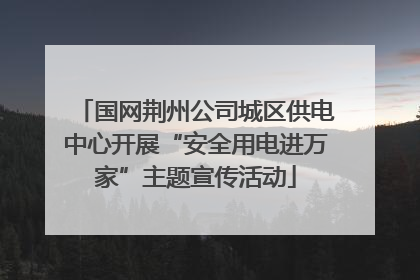 国网荆州公司城区供电中心开展“安全用电进万家”主题宣传活动