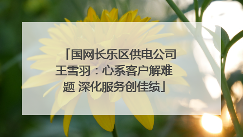 国网长乐区供电公司王雪羽：心系客户解难题 深化服务创佳绩