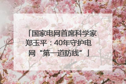 国家电网首席科学家郑玉平：40年守护电网“第一道防线”