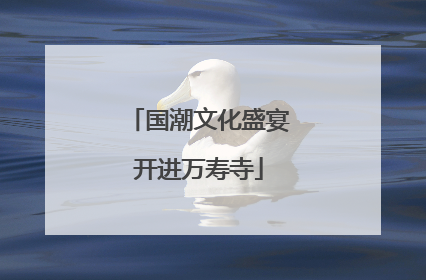 国潮文化盛宴开进万寿寺