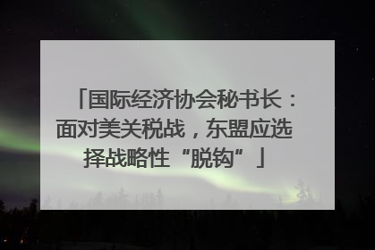 国际经济协会秘书长：面对美关税战，东盟应选择战略性“脱钩”