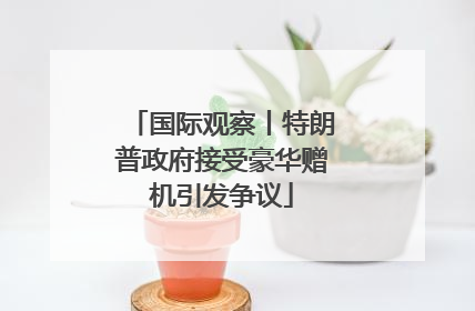 国际观察丨特朗普政府接受豪华赠机引发争议