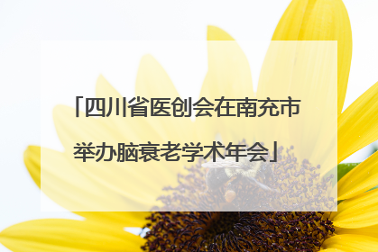 四川省医创会在南充市举办脑衰老学术年会