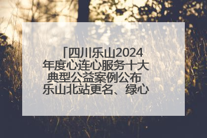 四川乐山2024年度心连心服务十大典型公益案例公布 乐山北站更名、绿心路井盖治理等上榜
