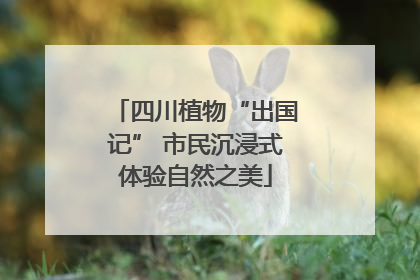 四川植物“出国记” 市民沉浸式体验自然之美