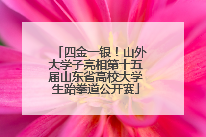 四金一银！山外大学子亮相第十五届山东省高校大学生跆拳道公开赛