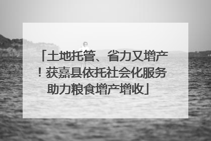 土地托管、省力又增产！获嘉县依托社会化服务助力粮食增产增收