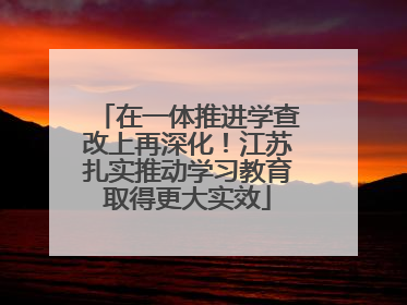 在一体推进学查改上再深化！江苏扎实推动学习教育取得更大实效