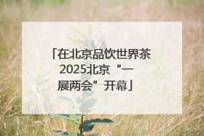 在北京品饮世界茶 2025北京“一展两会”开幕