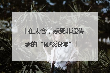在太仓，感受非遗传承的“硬核浪漫”