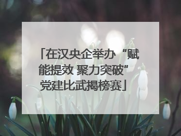 在汉央企举办“赋能提效 聚力突破”党建比武揭榜赛