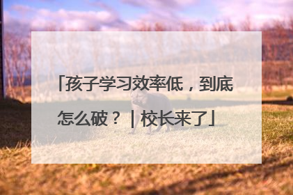 孩子学习效率低，到底怎么破？｜校长来了