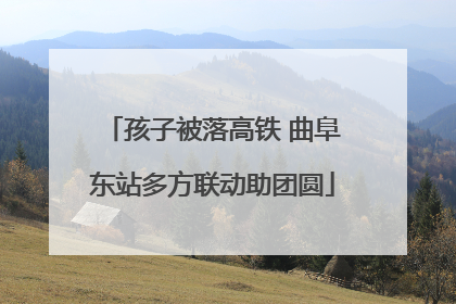 孩子被落高铁 曲阜东站多方联动助团圆