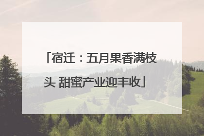 宿迁：五月果香满枝头 甜蜜产业迎丰收