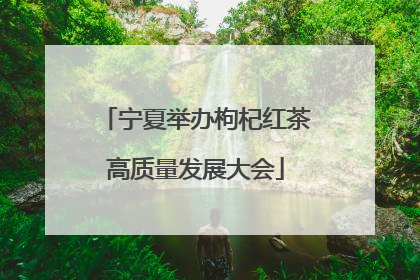 宁夏举办枸杞红茶高质量发展大会