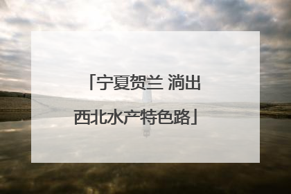 宁夏贺兰 淌出西北水产特色路