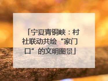 宁夏青铜峡：村社联动共绘“家门口”的文明图景