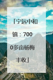 宁远中和镇：7000多亩杨梅丰收