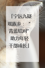 宁远九疑瑶族乡：“青蓝结对” 助力年轻干部成长