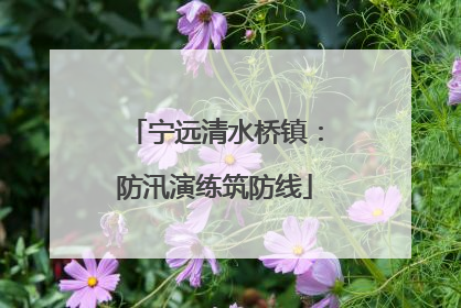 宁远清水桥镇：防汛演练筑防线
