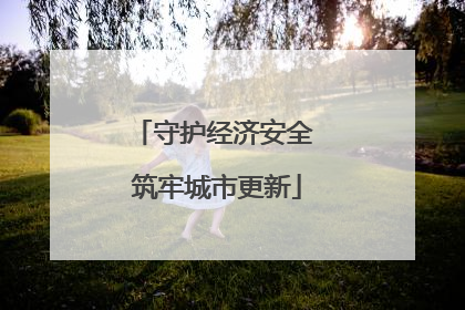 守护经济安全 筑牢城市更新