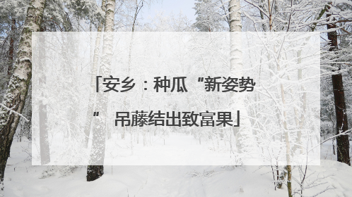 安乡：种瓜“新姿势” 吊藤结出致富果