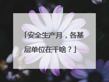 安全生产月，各基层单位在干啥？